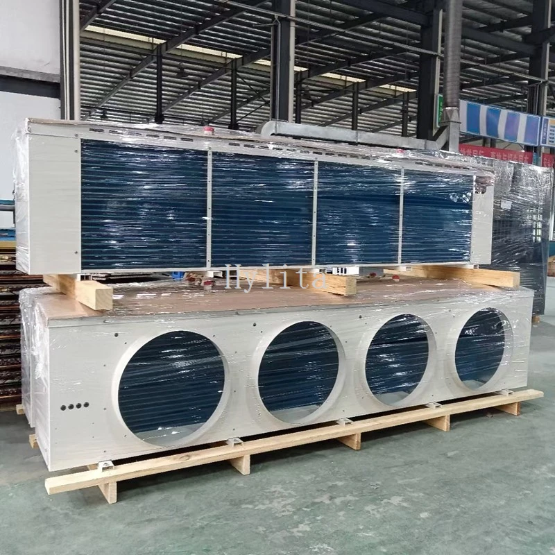 product-800-800 product-800-800