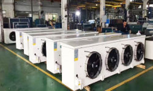 product-500-300