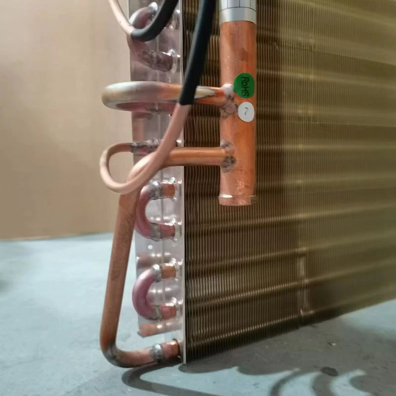 product-800-800 product-800-800