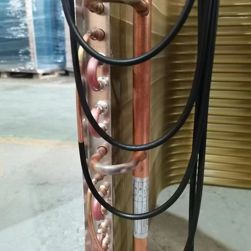 product-800-800 product-800-800